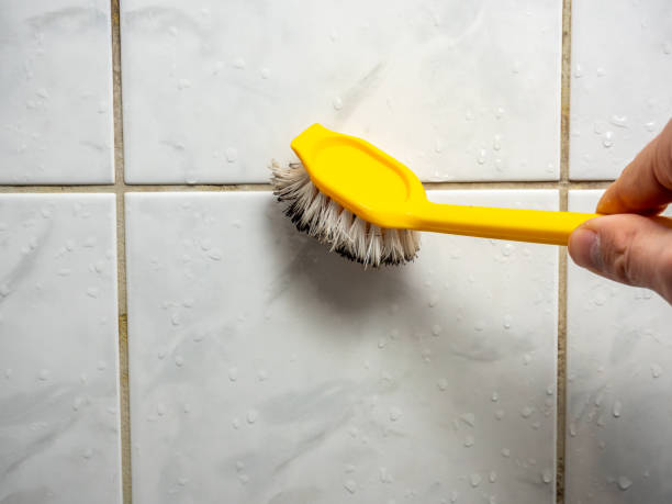 Best Mold Testing and Removal  in Marmet, WV