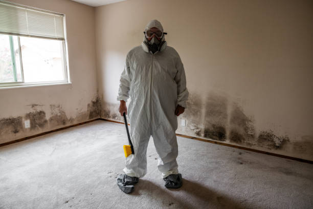 Water Damage Restoration in Marmet, WV